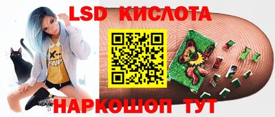 прущие крисы Новозыбков