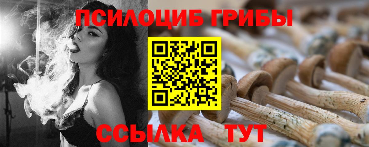 Псилоцибиновые грибы мицелий  Псилоцибиновые грибы Cubensis  Вход с VPN  Советский 